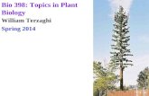 William Terzaghi Spring 2014 Bio 398: Topics in Plant Biology.