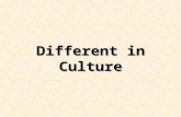 Different in Culture. Chapter 3 - 2 Chapter Preview  Describe culture, and explain the significance of both national culture and subcultures.  Identify.