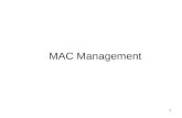 1 MAC Management. 2 Outline Introduction - Authentication, Association - Address filtering, Privacy - Power Management, Synchronization MAC Management.