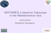 1 ANTARES a Neutrino Telescope in the Mediterranean Sea 31/01/2014 Salvatore Mangano.