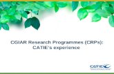CGIAR Research Programmes (CRPs): CATIE’s experience.