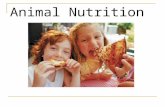 Animal Nutrition. Nutrition: food taken in, food taken apart, food taken up.