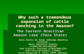 Why such a tremendous expansion of cattle ranching in the Amazon? The Eastern Brazilian Amazon case (Para State) Jonas Bastos da Veiga (Embrapa Amazônia.