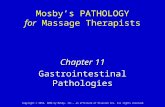 Chapter 11 Gastrointestinal Pathologies Mosby’s PATHOLOGY for Massage Therapists Copyright © 2010, 2006 by Mosby, Inc., an affiliate of Elsevier Inc. All.