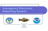 Interagency Electronic Reporting System I nternational P acific H alibut C ommission.