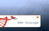 DNA Storage. Introduction DDNA is a natural storage source ““The total world's information, which is 1.8 zettabytes, [could be stored] in about four.