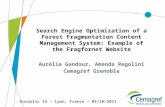 Search Engine Optimization of a Forest Fragmentation Content Management System: Example of the Fragfornet Website Aurélie Gandour, Amanda Regolini Cemagref.