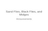 Sand Flies, Black Flies, and Midges Announcements.