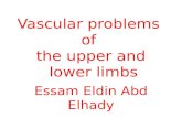 Vascular problems of the upper and lower limbs Essam Eldin Abd Elhady.