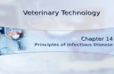 Veterinary Technology Chapter 14 Principles of Infectious Disease.