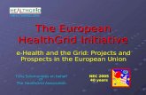 HEALTHGRID.ORG The European HealthGrid Initiative e-Health and the Grid: Projects and Prospects in the European Union NEC 2005 40 years Tony Solomonides.