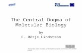 The Central Dogma of Molecular Biology by E. Börje Lindström This learning object has been funded by the European Commissions FP6 BioMinE project.