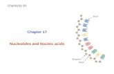 Chapter 17 Nucleotides and Nucleic acids Chemistry 20.