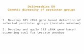 Deliverables D9 Genetic diversity of protistan groups 1. Develop 18S rRNA gene based detection of selected protistan groups (testate amoebae) 2. Develop.