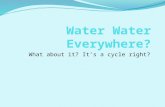 What about it? It’s a cycle right?. What is water? Chemical substance Chemical Formula: H2O One Oxygen, Two Hydrogen Connected with a Covalent Bond State: