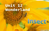 Unit 12 Wonderland s Which letter is the name of an insect? Which letter is a drink? Which letter is a vegetable? Which letter is a lot of water? Which.