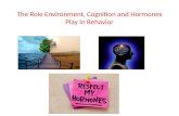 The Role Environment, Cognition and Hormones Play in Behavior.
