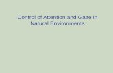 Control of Attention and Gaze in Natural Environments.