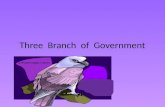 Three Branch of Government By Macee Executive Branch The Executive Branch is run by the President and Vice President. The Executive Branch is housed.