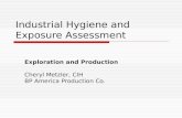 Industrial Hygiene and Exposure Assessment Exploration and Production Cheryl Metzler, CIH BP America Production Co.