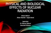 PHYSICAL AND BIOLOGICAL EFFECTS OF NUCLEAR RADIATION Intesar Zalloum Atheer ShamistiDujana Kamal Supervisor: Dr. Othman Zalloum Associate Professor.