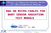 1 Physics of Compressed Baryonic Matter 12 th CBM Collaboration Meeting R&D ON MICRO-CABLES FOR BABY SENSOR RADIATION TEST MODULE October 13 - 18, 2008.