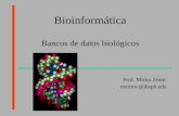 Bioinformática Bancos de datos biológicos Prof. Mirko Zimic mzimic@jhsph.edu.
