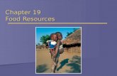 Chapter 19 Food Resources. World Food Security  Famine-  Maintaining Grain Stocks  Amount of grain remaining from previous harvest  Provides measure.