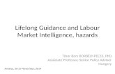 Lifelong Guidance and Labour Market Intelligence, hazards Tibor Bors BORBÉLY-PECZE, PhD. Associate Professor, Senior Policy Adviser Hungary Antalya, 26-27.