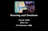 Hearing and Deafness Sarah Todd BIO 313 22 February 2006 .
