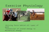 Exercise Physiology Driving force behind all types of work Conversion of stored energy to mechanical energy.