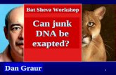 1 Can junk DNA be exapted? Dan Graur Bat Sheva Workshop.