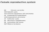 Female reproductive system 89Chronic cervicitis 302Naboth cysts 141Cervical squamous cell carcinoma 45Endometrial hyperplasia 129Endometrial carcinoma.