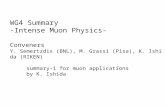 WG4 Summary -Intense Muon Physics- Conveners Y. Semertzdis (BNL), M. Grassi (Pisa), K. Ishida (RIKEN) summary-1 for muon applications by K. Ishida.