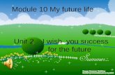 Module 10 My future life Unit 2 I wish you success for the future.