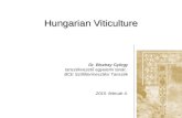 Hungarian Viticulture 2015. február 4. Dr. Bisztray György tanszékvezető egyetemi tanár, BCE Szőlőtermesztési Tanszék.