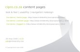 Cipro.co.za content pages look & feel | usability | navigation redesign © Copyright Rob Cowie 2009 live demo | home page: .