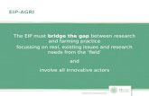 EIP-AGRI The EIP must bridge the gap between research and farming practice focussing on real, existing issues and research needs from the ‘field’ and involve.