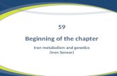 Beginning of the chapter Iron metabolism and genetics (Iron Sensor) 59.