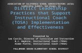 District Leadership Practices that Support Instructional Coach (TOSA) Implementation and Effectiveness Presented by Lea Curcio, Director of Curriculum.