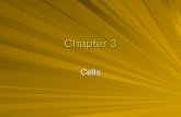 Chapter 3 Cells. Cells and Tissues Carry out all chemical activities needed to sustain life Cells are the building blocks of all living things Tissues.