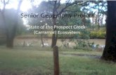 Senior Geography Project State of the Prospect Creek (Carramar) Ecosystem Manish Chandra, Year 11.
