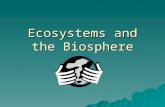 Ecosystems and the Biosphere Why???  What do animals and plants need to survive?  Why are frogs showing up with mutations?  How does pollution affect.