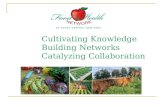 Cultivating Knowledge Building Networks Catalyzing Collaboration.