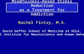 Mindfulness-Based Stress Reduction as a Treatment for Addiction Rachel Fintzy, M.A. David Geffen School of Medicine at UCLA, Semel Institute for Neuroscience.
