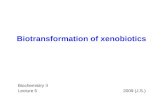 Biotransformation of xenobiotics Biochemistry II Lecture 5 2009 (J.S.)