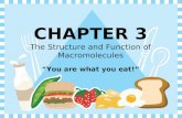 CHAPTER 3 The Structure and Function of Macromolecules “You are what you eat!”