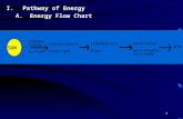 1 I.Pathway of Energy A.Energy Flow Chart. 2 II.Photosynthesis – sunlight is captured using chlorophyll and is converted into chemical energy stored in.