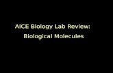 AICE Biology Lab Review: Biological Molecules. B. Biological Molecules (a) carry out tests for reducing and non- reducing sugars (including semi- quantitative.
