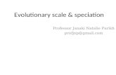 Evolutionary scale & speciation Professor Janaki Natalie Parikh profjnp@gmail.com.